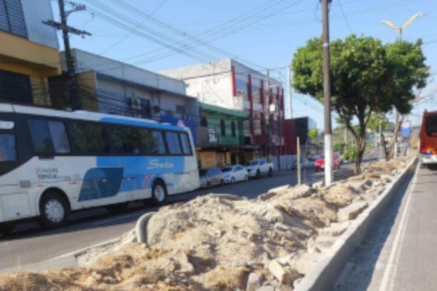 Árvores no canteiro central de avenida foram retiradas (Foto: TCE-AM/Divulgação)