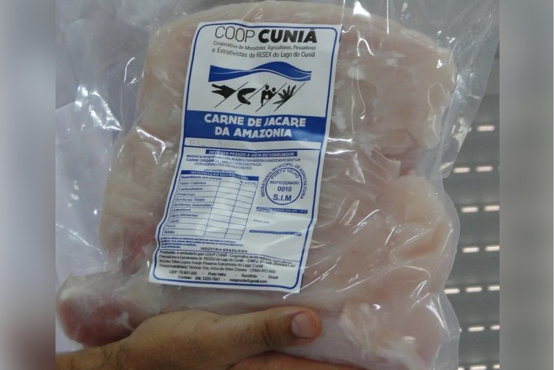 Carne de jacaré: mercado consumidor ainda é escasso para o produto (Foto: Divulgação/ICMBio Cuniã-Jacundá)