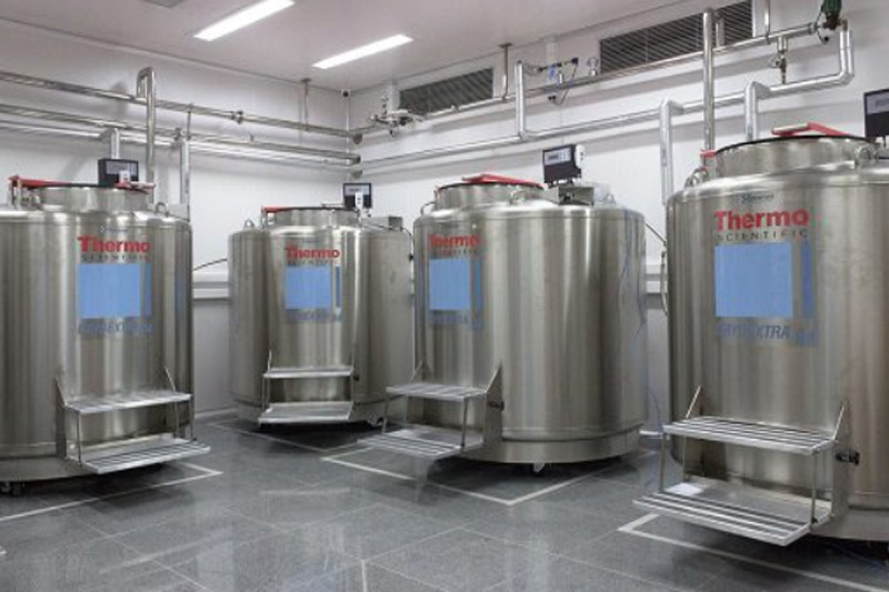 Tanques de hidrogênio para congelar material genético: rede vai reunir amostras de todo o país (Foto: MS/Divulgação)