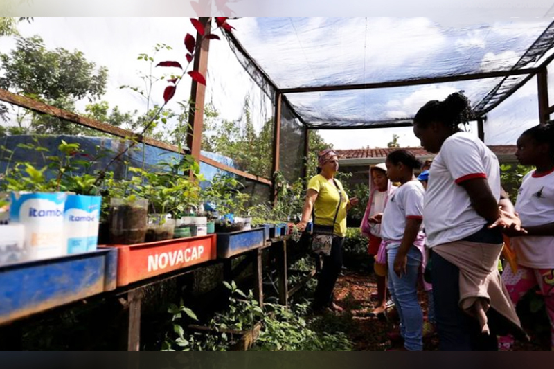 Escolas devem adotar medidas para implatar a educação ambiental (Foto: Marcelo Camargo/ABr)