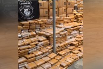Maconha estava em dois caminhões, que também foram apreendidos (Imagem: WhatsApp/Reprodução)