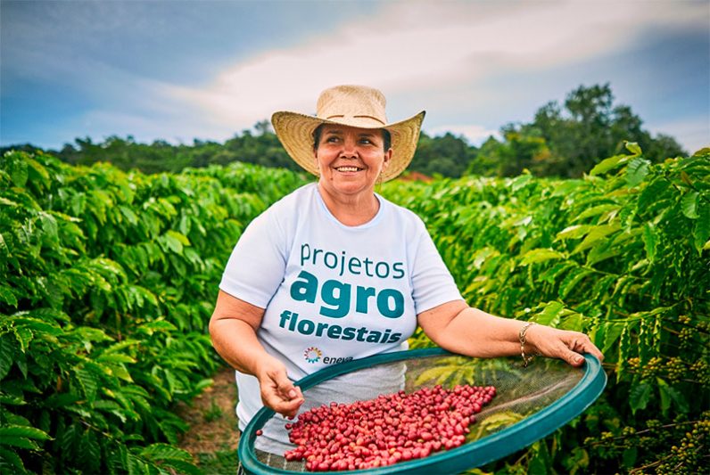 Eneva, projeto agro florestal