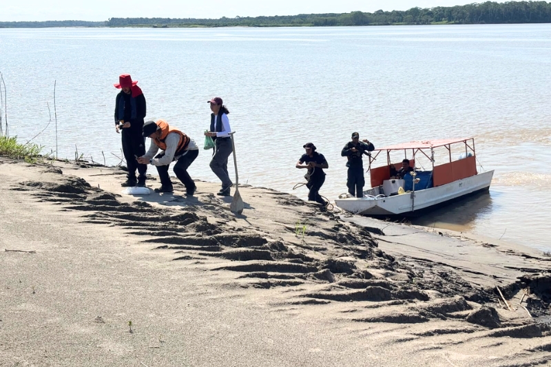 A expedição científica percorreu aproximadamente 1,7 mil quilômetros do rio Solimões, entre Tabatinga e Manaus (Foto: Arquivo SGB)