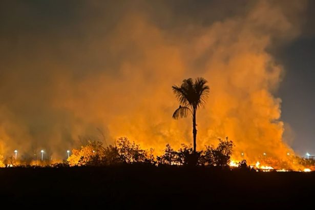 O fogo foi controlado pelo Corpo de Bombeiros Militar do Amazonas (Foto: WhatsApp/reprodução)
