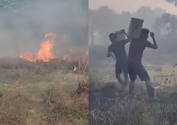 Fogo avança por área de vegetação seca e moradores usam baldes no combate às chamas (Fotos: WhatsApp/Reprodução)