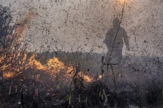 Recursos são para ações assistência a pessoas atingidas por incêndios florestais (Foto: Foto: Mayangdi Inzaulgarat/Ibama)
