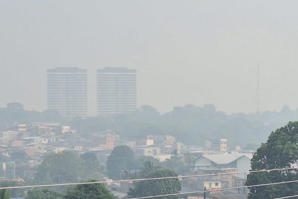 Bairro Petrópolis encoberto pela fumaça. Na área de Aparecida, a concentração de partículas poluentes é pior (Foto: AM ATUAL)
