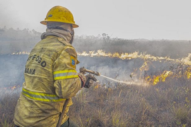 Bombeiro combate fogo em vegetação no município de Apuí: fumaça afeta cidades do interior (Foto: Ibama/|Divulgação)