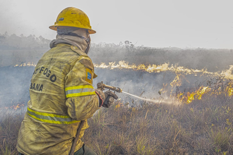 Bombeiro combate fogo em vegetação no município de Apuí: fumaça afeta cidades do interior (Foto: Ibama/|Divulgação)