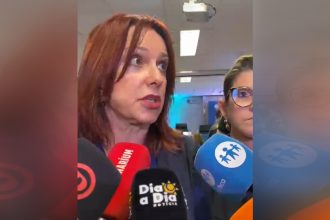 Desembargadora Carla Reis disse que aguarda orientação do TSE para retomar votação no Amazonas (IMagem: WhatsApp/Reprodução)