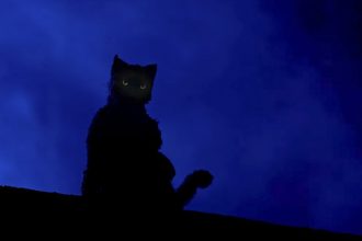 Curta-metragem 'Mata Gato', dirigido por André Cunha, foi filmado no Centro de Manaus (Foto: Divulgação)