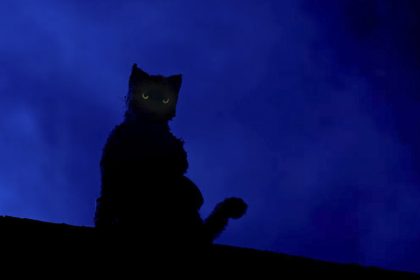 Curta-metragem 'Mata Gato', dirigido por André Cunha, foi filmado no Centro de Manaus (Foto: Divulgação)