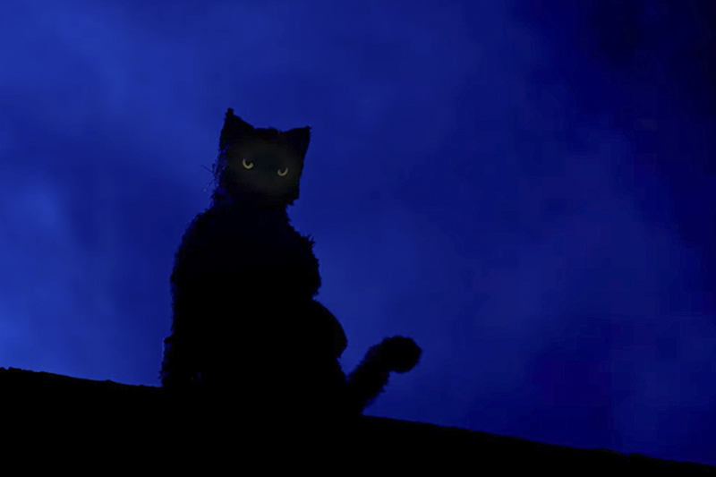 Curta-metragem 'Mata Gato', dirigido por André Cunha, foi filmado no Centro de Manaus (Foto: Divulgação)