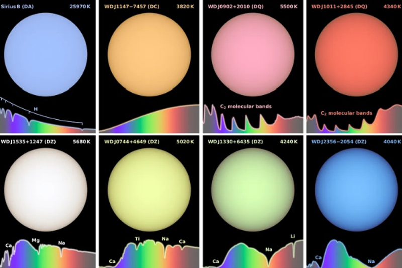 Paleta de cores das estrelas (Imagem: Divulgação)