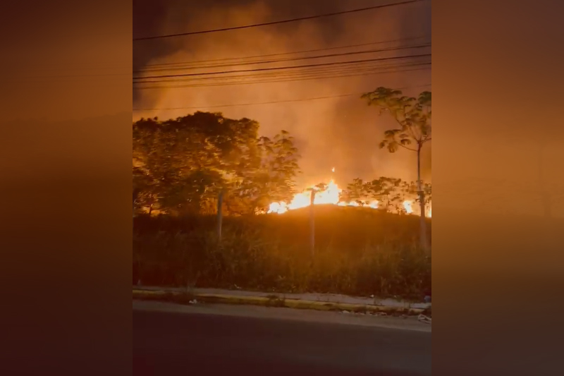 Incêndio destruiu vegetação às margens da rodovia AM-070, no Amazonas (Imagemn: WhatsApp/Reprodução)