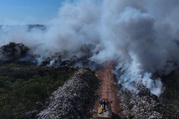 Foram cinco autuações em Manaus, Humaitá, Manacapuru e Careiro, todas por queima de resíduos sólidos a céu aberto (Foto: Divulgação)