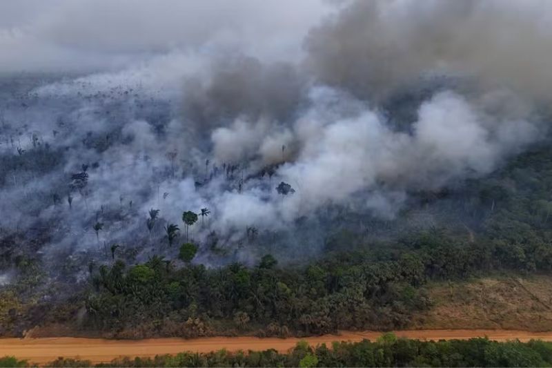 Queimada recorrente aumentou emissão de carbono na Amazônia (Foto: Foto: Michael Dantas/Getty Images)