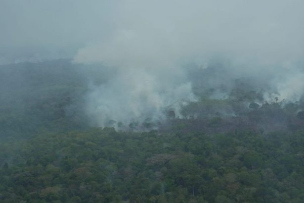 Área do município de Autazes com fumaça de queimadas (Imagem: Reprodução/MMA)