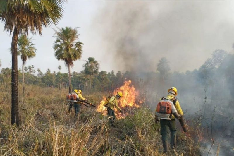 As investigações apuram a degradação ambiental, os efeitos do El Niño e fraudes em cadastros de terras (Foto: Ilustrativa/Ibama)