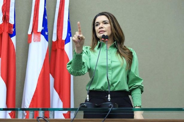 Deputada estadual pediu medidas protetivas contra bolsonaristas após gesto de ameaça em debate eleitoral (Foto: Divulgação)