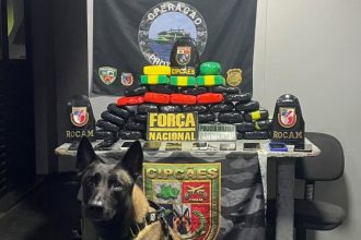 Policiais da Base Arpão, em Coari, no interior do Amazonas, apreenderam 41 tabletes de pasta-base de cocaína (Foto: Divulgação)