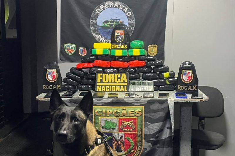 Policiais da Base Arpão, em Coari, no interior do Amazonas, apreenderam 41 tabletes de pasta-base de cocaína (Foto: Divulgação)