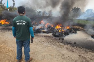 Os fiscais do órgão encontraram 50 pneus sendo queimados em área agropastoril (Foto: Divulgação)