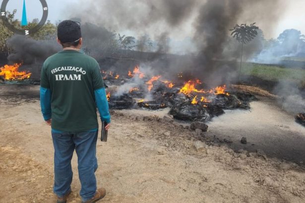 Os fiscais do órgão encontraram 50 pneus sendo queimados em área agropastoril (Foto: Divulgação)