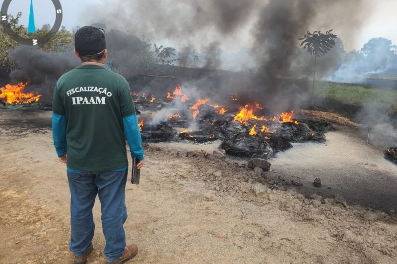 Os fiscais do órgão encontraram 50 pneus sendo queimados em área agropastoril (Foto: Divulgação)