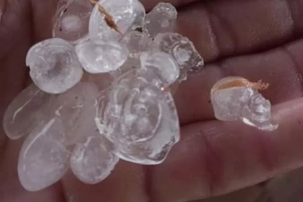 O granizo nasce em nuvens de tempestade muito altas (cumulonimbus) (Foto: WhatsApp/reprodução)