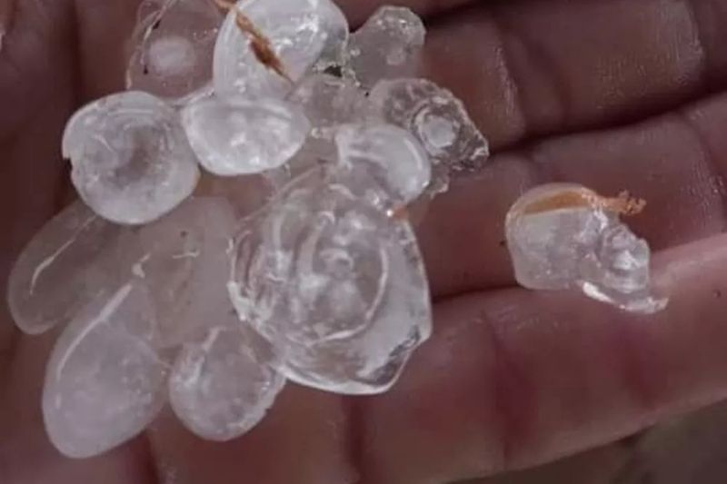 O granizo nasce em nuvens de tempestade muito altas (cumulonimbus) (Foto: WhatsApp/reprodução)